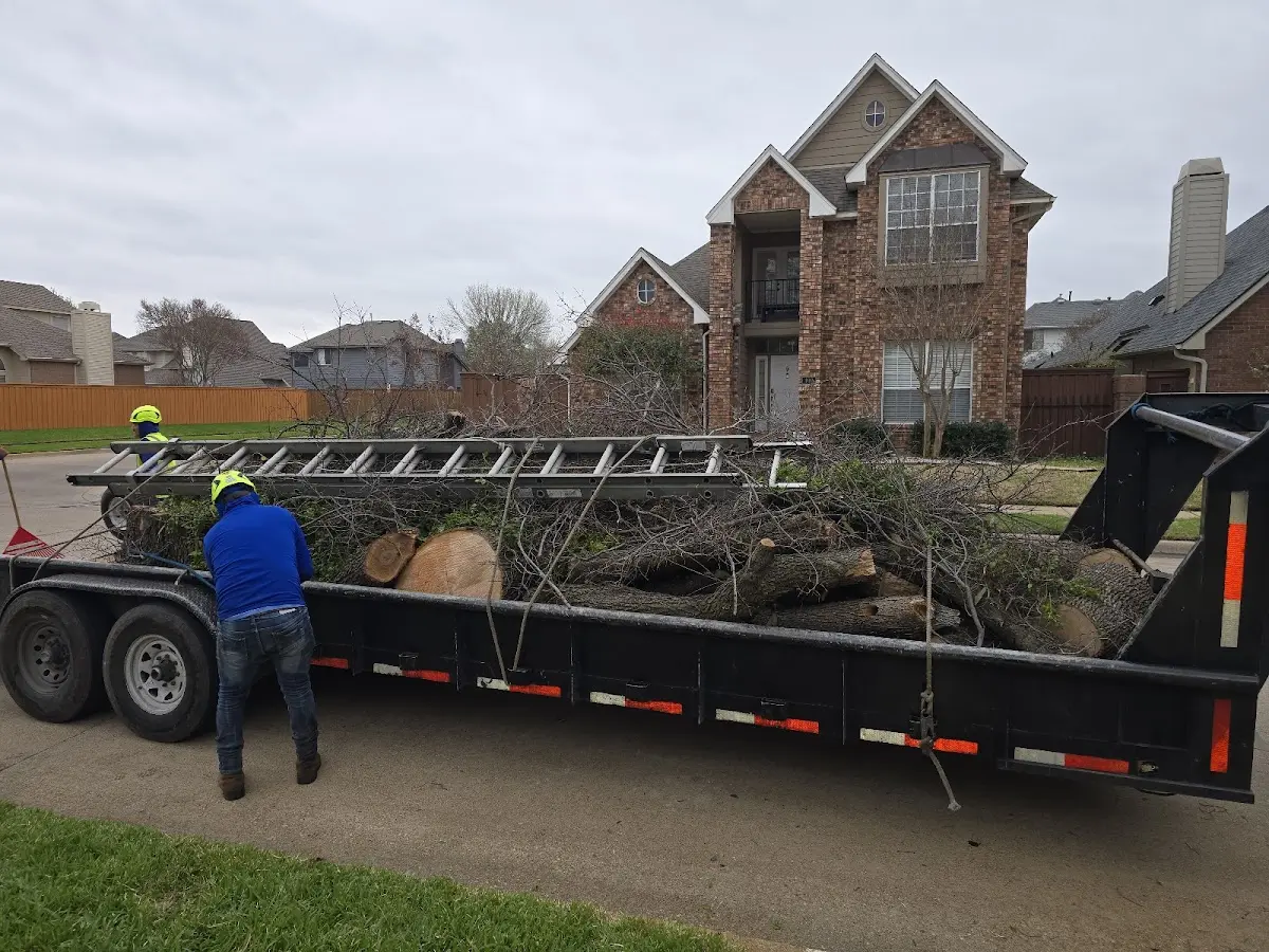 Expert Crown Reduction with proper safety equipment in Sharon Springs